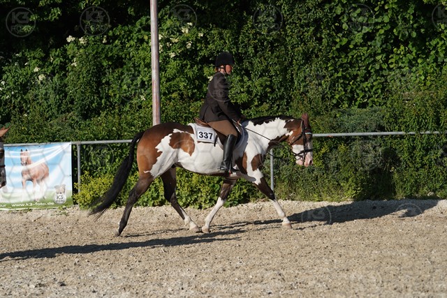 sA9K05926.JPG